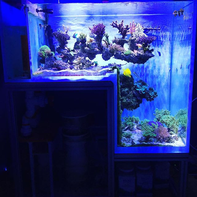 aquarium shops around me