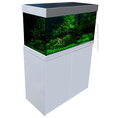 aquarium shops around me