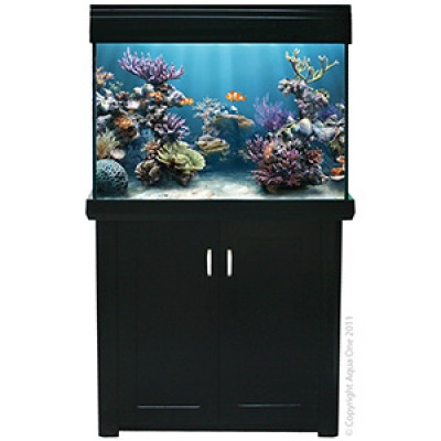 Aqua one shop marine tank