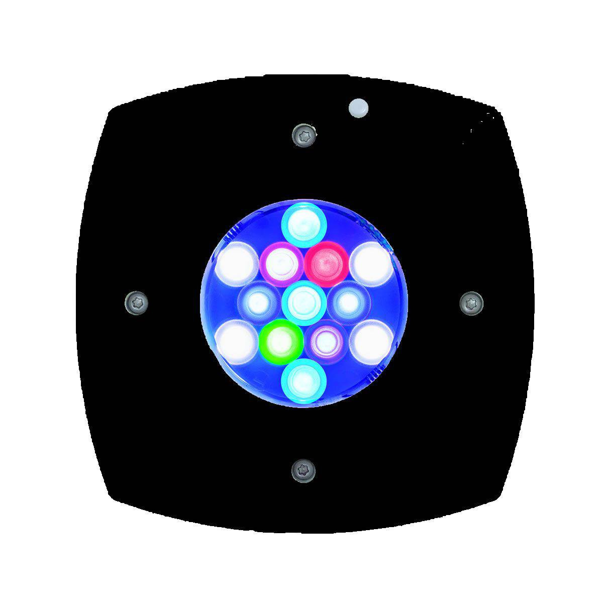 Aqua Illumination Prime HD LED Light Black - SYDNEY DISCUS WORLD