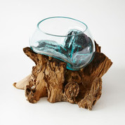  Wood + Glass Terrariums M