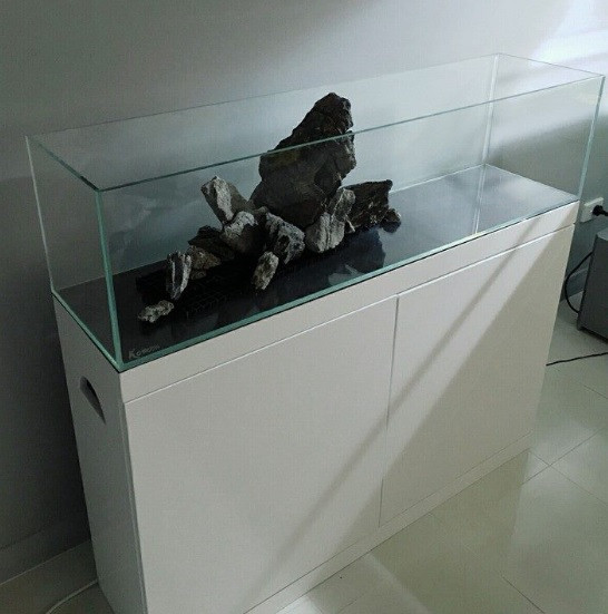 Frameless fish outlet tank