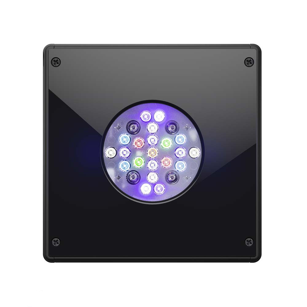 ecotech marine radion xr15w