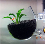 Cool Now - Glass Plant Cup Holder
