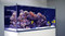 REEFER aquariums are constructed from thick, bevelled-edge, ultra-clear glass to support their elegant and modern rimless design.
