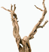 Ghostwood Branchy 90cm