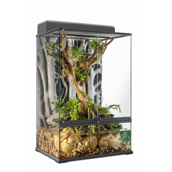 Exo Terra Medium Extra Tall All Glass Terrarium 60x45x90cm - SYDNEY ...