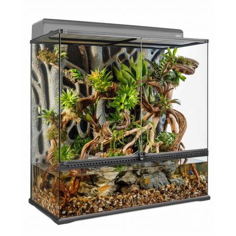 terrarium exo terra tall paludarium natural glass reptile extra cm hagen rainforest advanced terrariums reptiles hover zoom x36 x18