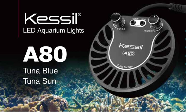 ライト・照明器具 Kessil A80 Tuna Blue &SpectralController ライト・照明器具 Kessil A80 Tuna Blue &SpectralController 1-A80-1