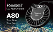Kessil A80 Tuna Blue