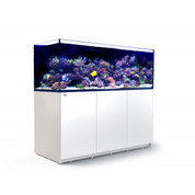 Red Sea Reefer Skimmer Rsk 900 Sydney Discus World Aquariums P L Red Sea Reefer Skimmer Rsk 900 Sydney Discus World Aquariums P L