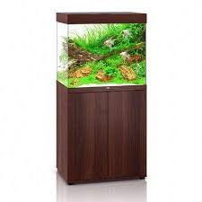 Juwel Aquarium 200 hotsell Liter