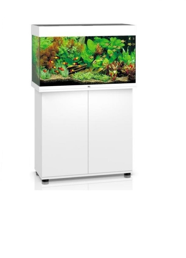 Juwel Rio 125 LED Aquarium Complete Set up (125L)White SYDNEY DISCUS