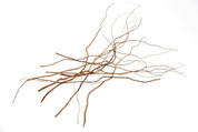 DRIFTWOOD ACCENT ROOTS