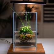 2、DOOAネオグラスエア15×15×30　・LED・ステンレス台座 2、DOOAネオグラスエア15×15×30 ・LED・ステンレス台座 ADA Taiwan