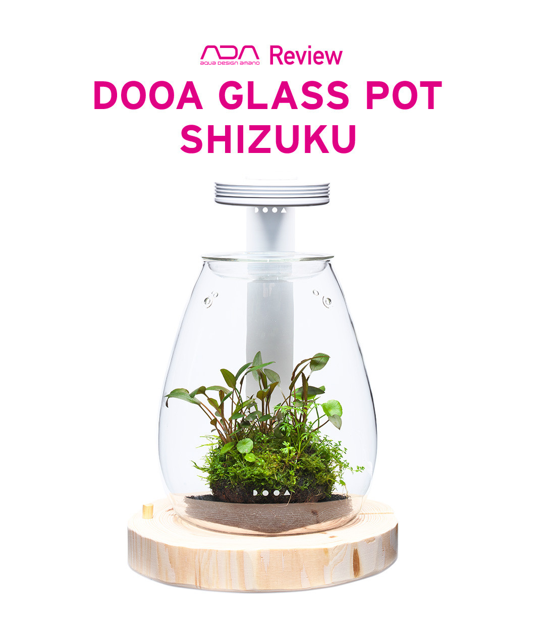 DOOA Glass Pot Shizuku - Sydney Discus World Aquariums Products