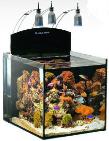 80l fish tank