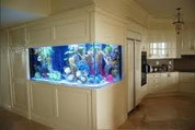 Acrylic Aquariums 5x2x2