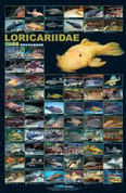 Loricariidae (L Number) Poster