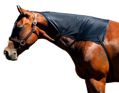 Sleazy Sleepwear for Horses™ offers a simple and easy product to train your horse's mane. The Sleazy Mesh Mane Tamer is made from a breathable mesh. It comes completely lined and has 3 soft elastic straps with hook & loop closures. It attaches to a halter between the horse's ears. Available in Black only.

Size Small fits 500-800 lbs