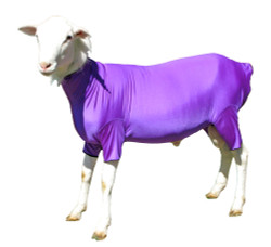 Show off your lamb with fun and functional Lambajams™ from Sleazy Sleepwear for Horses™.  The Lambajam helps to keep the wool clean and tight.  It is made from nylon or polyester Lycra and is available in all of the solids, prints and foils offered by Sleazy Sleepwear for Horses™.  Lambajams™ come in 4 sizes.