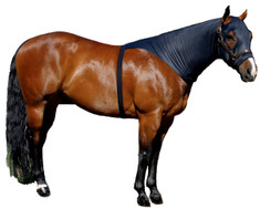 If you are looking for a great product to train the mane without using a halter or sheet and you do not want to cover your horse's shoulders, try the Sleazy Brief.  It allows the mane to be trained and stays on the horse without the use of a halter to secure it.  The Brief also comes with the “Seamless Face” design.  The Brief is available in 6 sizes and comes standard with a full separating zipper. It is made of nylon spandex and is available in Black only.