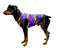 For the medium sized and toy breeds, we offer unique Windhorse Dazzle Tees™. These are zippered stretchy “Tees” made with colorful premium stock nylon spandex prints and solids currently offered by Sleazy Sleepwear for Horses™. They are fun and are a “must have” apparel items for special pets.

Sizing: Length

XSmall 7"

Small 10" 

Medium 12" 

Large 14"

Xlarge 16"

XXlarge 20"