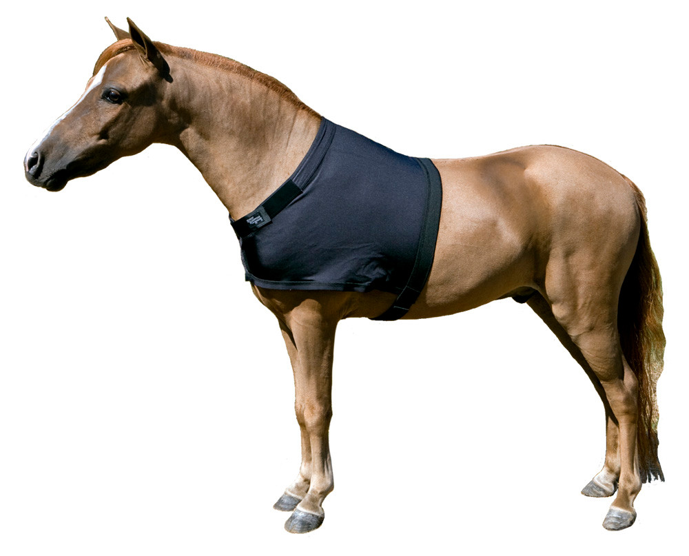 Protège-Épaules Anti-Frottement Shires Pour Cheval - Taille Full Size, Tissu Élastique, Confortable
