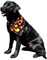 Windhorse Dazzle Ties™ are a great way to add color to your pet's wardrobe.  Use as a bandana, or tie to your pets collar or leash.  These fun ties can be used alone or as an accessory to complete an outfit.  They come in a wide assortment of solid, print or foil spandex colors.  Available in 4 sizes.

Long Edge Dimensions:

Small - 14"

Medium - 19.5"

Large - 28"

Xlarge - 36.5" 