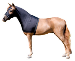 Mini stretch hoods are designed to aid with grooming a miniature horse by providing a cover that helps to smooth the minis body hair, as well as training the minis mane to lie flat and fall to one side. The hood also is great as a liner under a heavier garment.   “Seamless Face” design eliminates any seams below the eyes for maximum safety.
Mini Stretch Sleazy Hoods are made from the same solid color choices as full size horse hoods.  Available in five sizes.  Size is determined by girth measurement in inches.

 

* NOTE: All Miniature Horse products made by Sleazy Sleepwear for Horses, are sewn with the seams on the outside of the garment to help keep a smooth coat.    