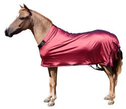 Miniature stretch sheets by Sleazy Sleepwear for Horses can be used alone or with a hood.  Sleazy Mini Sheets are made of nylon or polyester spandex.  All Sheets are reinforced along the back to prevent over-stretching and include a fleece lined adjustable neck. Sleazy Stretch Sheets have adjustable rear leg straps with snap hook closures.   They come in all of the solids offered by Sleazy Sleepwear for Horses.  Available in 5 sizes.  Size is determined by girth measurement in inches.

 

* NOTE: All Miniature Horse products made by Sleazy Sleepwear for Horses, are sewn with the seams on the outside of the garment to help keep a smooth coat. 