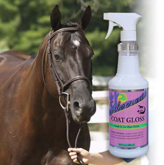 Silverado Coat Gloss™ - A ready to use hair polish, spray-on highlighter for the horses coat, mane and tail.

Silverado Coat Gloss™ Hair Polish produces the best show ring shine for the coat, mane and tail and repels dust, dirt, grass, and urine, leather, and manure stains. Groom once, horses stay clean and show ring ready for days.

Silverado Coat Gloss™. Spray horse's coat, mane and tail, brush or towel into coat. Comb and detangle mane and tail. Mist entire horse, mane, tail and coat lightly again.

Available Sizes: 32 oz.