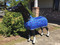 Bubbles Print Miniature stretch sheets by Sleazy Sleepwear for Horses can be used alone or with a hood.  Sleazy Mini Sheets are made of nylon or polyester spandex.  All Sheets are reinforced along the back to prevent over-stretching and include a fleece lined adjustable neck. Sleazy Stretch Sheets have adjustable rear leg straps with snap hook closures.   They come in all of the solids offered by Sleazy Sleepwear for Horses.  Available in 5 sizes.  Size is determined by girth measurement in inches.

 

* NOTE: All Miniature Horse products made by Sleazy Sleepwear for Horses, are sewn with the seams on the outside of the garment to help keep a smooth coat. 