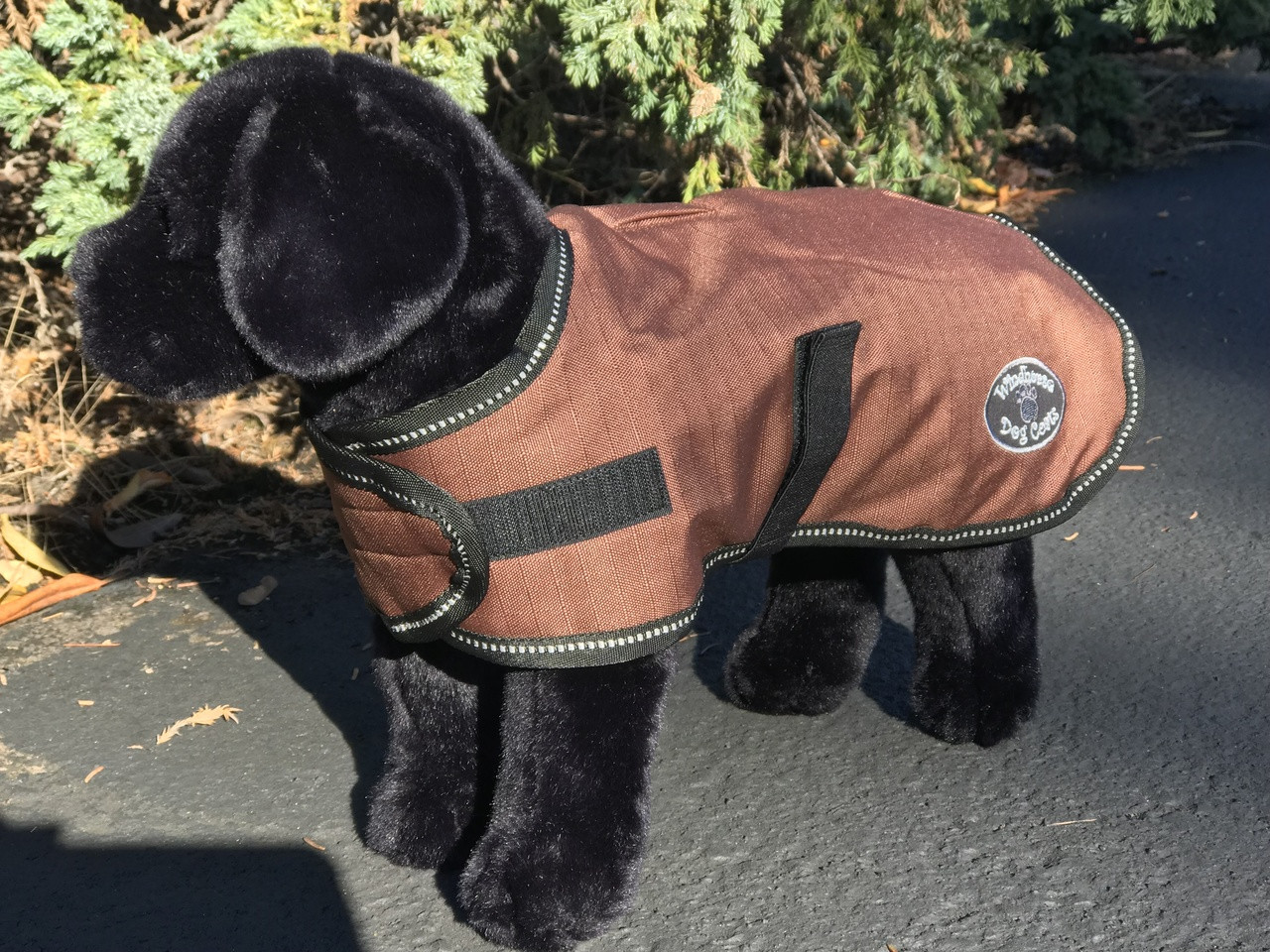 Outhwaite dog hot sale coats