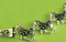 You'll enjoy the western flourishes decorating each of the horses on this running horse bracelet!  Six silver-tone horses with black enameled bodies decorated with silver-tone flourishes to delicately encircle your wrist when you put on this equestrian accessory.  Perfect for any horse-loving person. Measures approx. 7.5 inches long.

    Made of Rhodium-plated metal alloy
    Bracelet features an 'easy to use' magnetic clasp
    Each piece is lead-free / nickle-free / hypo-allergenic
    From the Wyo-Horse horse jewelry collection
    Created by jewelry designer Kerstin Stock 