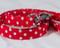 Retro Red Chasin' Tail Leash

Chasin' Tail Doggie Designs are special handmade creations.  Each piece is made by hand, with care, in Boring Oregon.

Chasin' Tail handcrafted leashes are 5 feet in lenght available in 3 widths.  They feature a durable swivel hook.

Leashes are made from a washable fabric.  Gently wash and hang to dry.  Chasin' Tail dog leashes can be ironed with a cool iron to remove wrinkles if they should appear.

Chasin' Tail leashes come in the following widths.


SM 5/8" wide

Med 3/4" wide

LG  1" wide

Chasin' Tail also offers matching handmade collars and cute collar accessories like Bow Ties and Flowers.  Look for them to order and complete your pet's special look.
