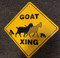 Goat Xing / 12"x12" / Yellow & Black