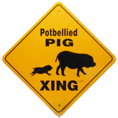 Potbellied Pig Xing / 12"x12" / Yellow & Blk