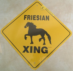 Friesian Xing / 12"x 12" / Yellow & Black