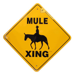 Mule Xing / 12"x12" / Yellow & Black