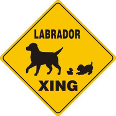 Labrador Xing / 12"x12" / Yellow & Black
