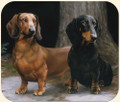 Dachshunds On  The Path Mouse Pad