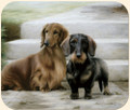 Dachshunds On The Porch Mouse Pad
