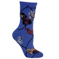 Different Coats and Colors Dachshund Blue Socks