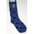 Wirehair Dachshund on Blue Socks - Dachshund Socks