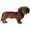 Red Dachshund Magnet