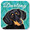 Darling Dachshund Coaster