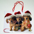 Christmas Gift Bag With Dachshund Puppies