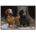 Dachshunds On The Pathway Doormat