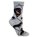 Black and Tan Dachshunds on Gray Socks